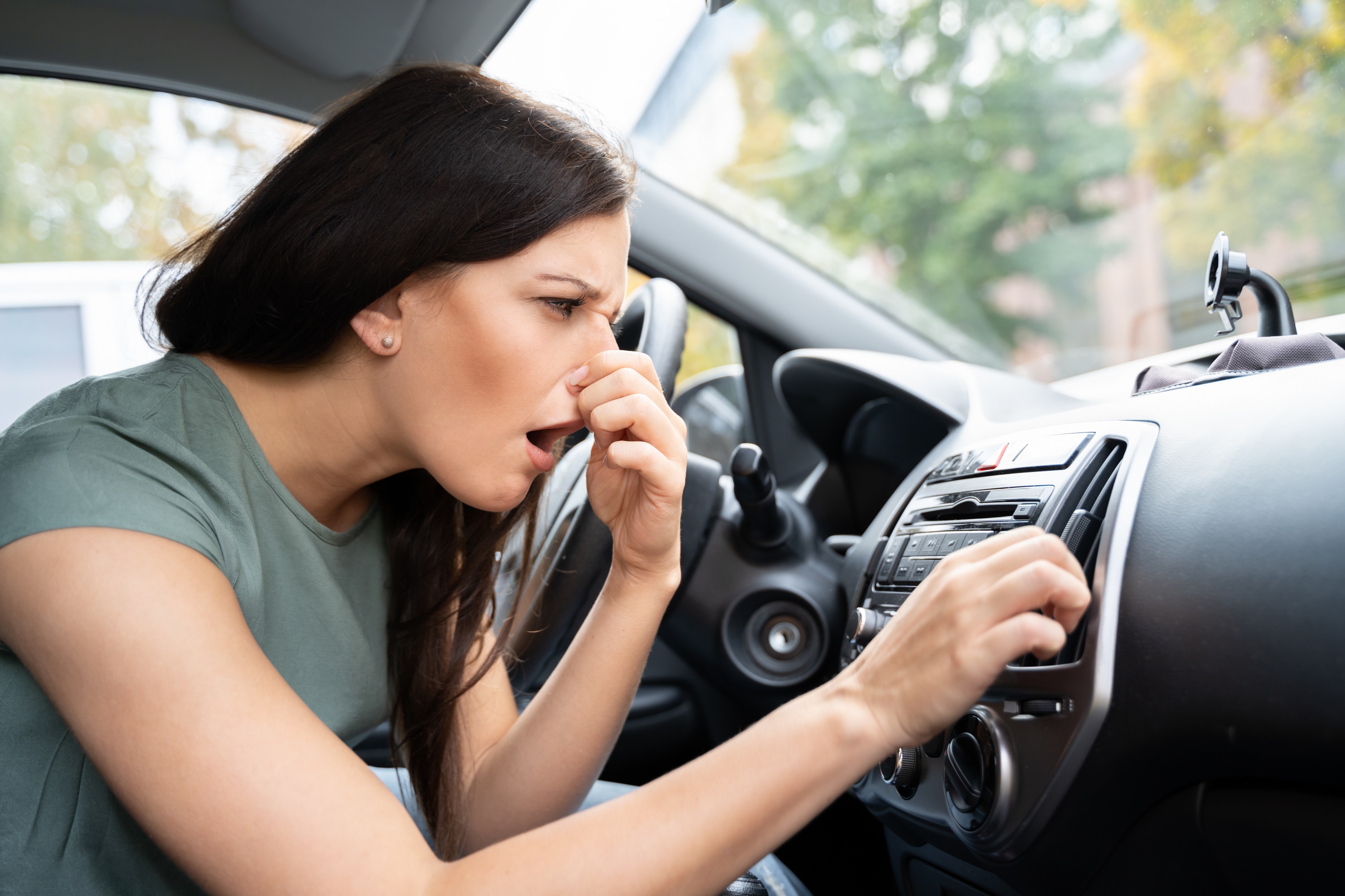 Moisissure dans la voiture : 4 méthodes d'élimination 